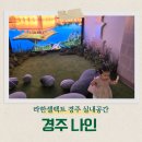 나인 | 라한셀렉트 경주 경주나인 후기｜15개월 아기와 가본 작은 경주 문화공간