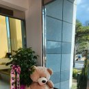 평생학습관 동아리실 | [전북] 고창군 평생학습관 동아리실 예약 및 사용 후기