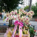 사랑의꽃집 이미지