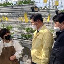 은행정농장 이미지