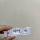 비금면수치도보건진료소 | 2022.03.15 코로나 백신 미접종자 확진 후기