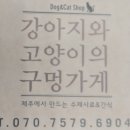 강아지와 고양이의 구멍가게 | 강아지수제간식쇼핑몰 : 강아지와고양이의구멍가게