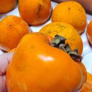 참새골농장 이미지