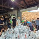 일대농장 이미지