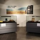 대전대학교박물관 이미지