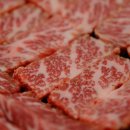 제주 모임하우스 이미지