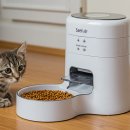 후레쉬 펫 푸드 | 집을 비워도 안심! 반려동물 자동급식기 추천 &amp; 비교, BEST 5