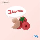 마리아분식 | 임준생 졸업일기 3ㅣ임신 3개월 후기(8주~11주)