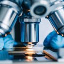 도그플러스 동물병원 이미지