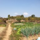 전원아파트경로당_2 이미지