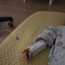 아름드리나무어린이병원 | 13개월 아기 돌치레, 고열로 입원 (세종 아름드리나무어린이병원)