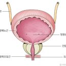 본디올대치한의원 이미지