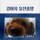 sun동물병원 이미지