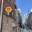 파니피카 이미지