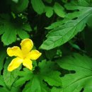 gs25 사당남사 이미지