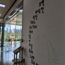 서울시립 북서울미술관. 유휴공간 프로젝트전시 《보편타당한 당신 ― 심이다은》 이미지