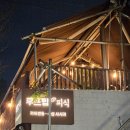 피식 | [시립대]숙성회 맛집 피식 다녀온 후기