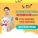 사람과 애견미용 이미지