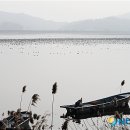 화양면 옥포리 금강변 이미지