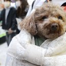 재진축산 이미지