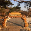 아라메길(4) 이미지