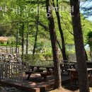 봉미산 계곡 예당 이미지