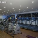 토마토 휘트니스 이미지