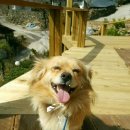 구름자리 이미지