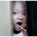 버클리명문유치원 이미지
