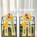 영전3 | 고양시 화분 대신 선택되는 승진 영전 취임 선물 사무실 테라리움