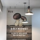 송원농장 | 대전 둔산동 건강한 맛집 ‘송원’ - 만두전골, 매콤 탕수육 대만족 후기