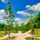 금호지 수변테마공원 이미지