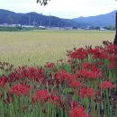 모악보건진료소 이미지