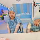 옥토넛키즈풀 대전도안점