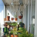 내가 우리집 가드너 이미지