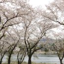 대성관광지 이미지