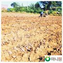 원농장2 이미지