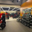 라인업 짐 휘트니스 이미지