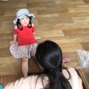 단양남천계곡물가 이미지