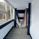 돌고래당구장 이미지