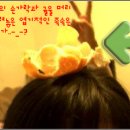 집어가 - 정읍시 학산로 89-7 | 집어가