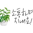 이츠캣