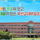 부산교육대학교부설초등학교 이미지