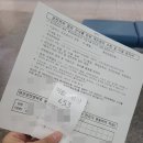 호잉호잉-서울방향 | 22년 새해 목표 달성 - 운전면허 2종 보통 합격 후기!