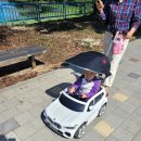 환희카정비 | 가을 광주 아이와 가볼만한 곳(무료), 우치공원 동물원(패밀리랜드)