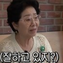 장미빛인생식당 MHN스포츠