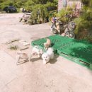 신라농원식당펜션 이미지