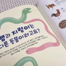 다독다독 즐거운 책놀이 이미지