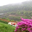 건강과 행복 이미지