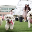 등원산업 이미지